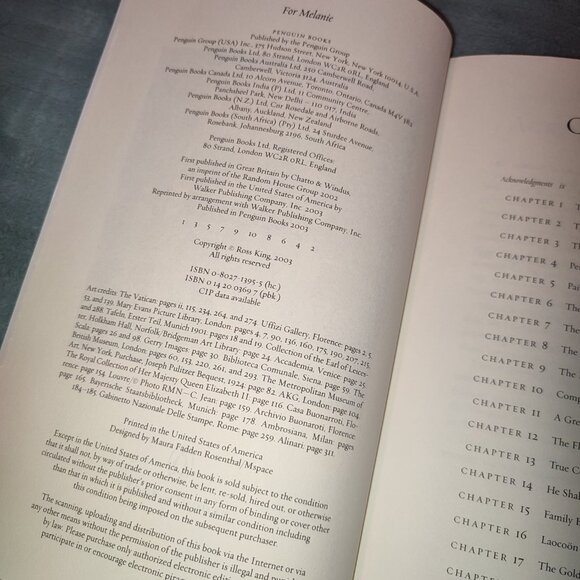 Book Michelangelo and the Pope's Ceiling Ross King New York Times Bestseller - Picture 15 of 16